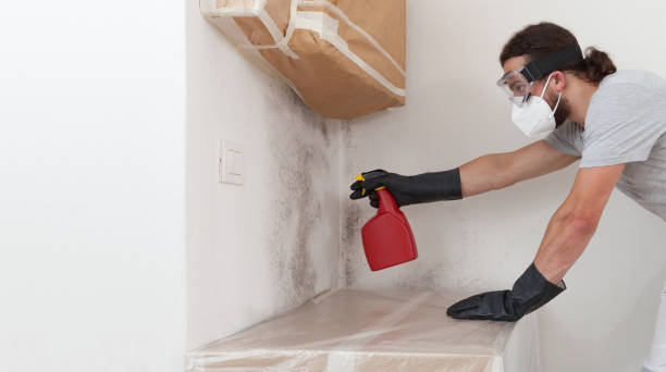 Professional Mold Testing technician working in Lockport, NY