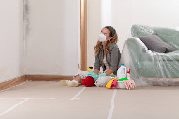 Reliable Mold Testing contractor in Lockport, NY by WQB Mold Removal